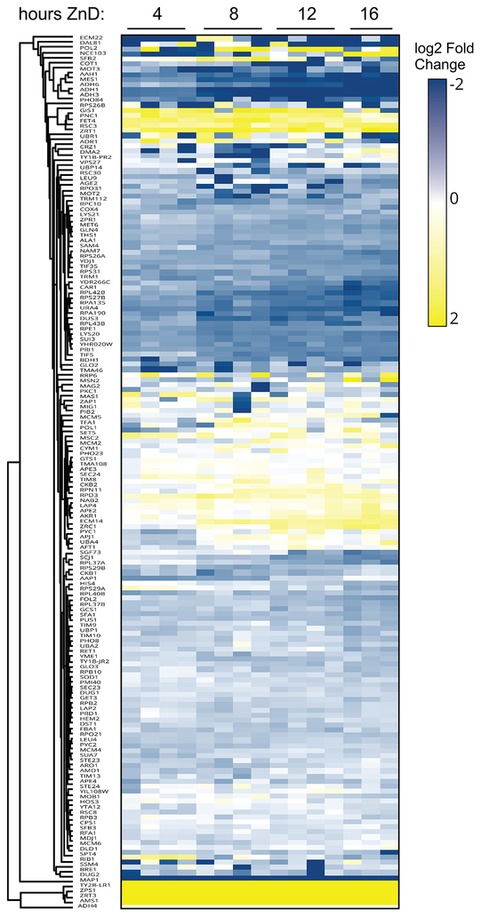 Figure 5.