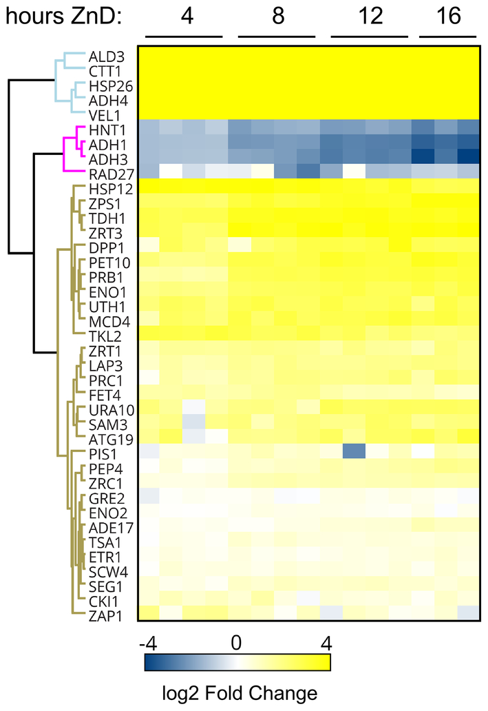 Figure 4.