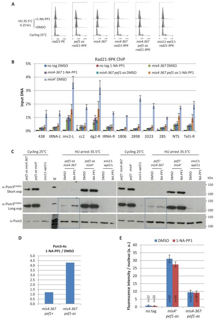 Figure 2—figure supplement 1.