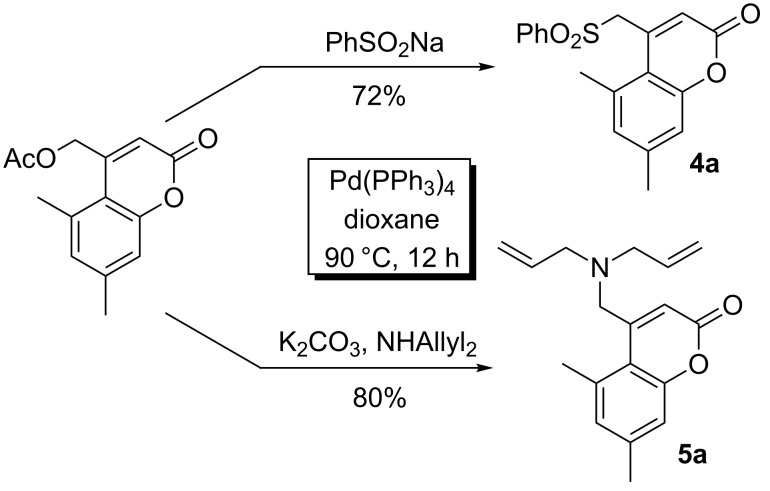 Scheme 4