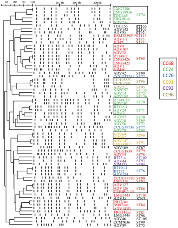 Figure 5