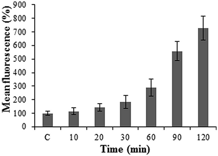 FIGURE 3