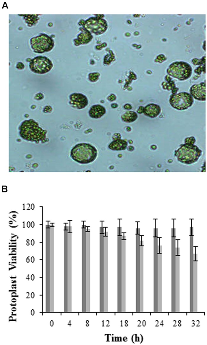 FIGURE 1