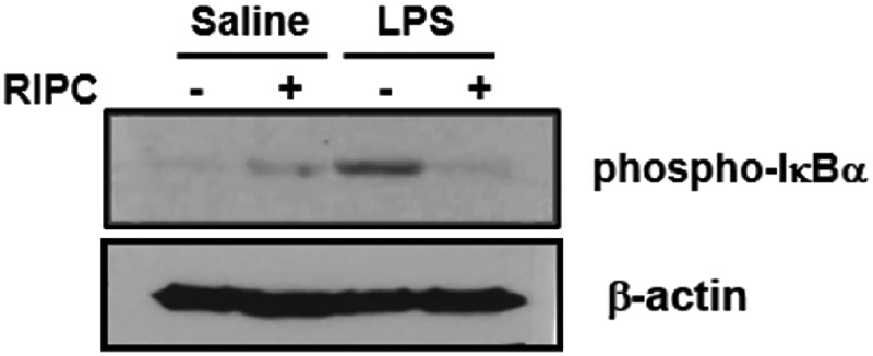 Figure 9.