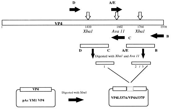 FIG. 1