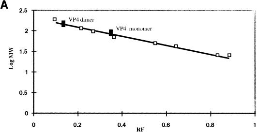 FIG. 6