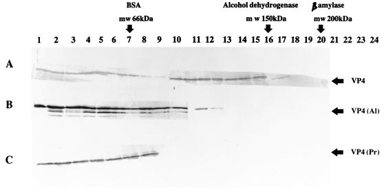 FIG. 8