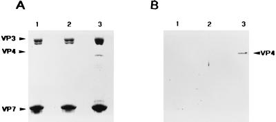 FIG. 9