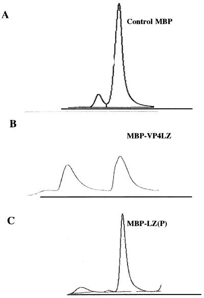 FIG. 3