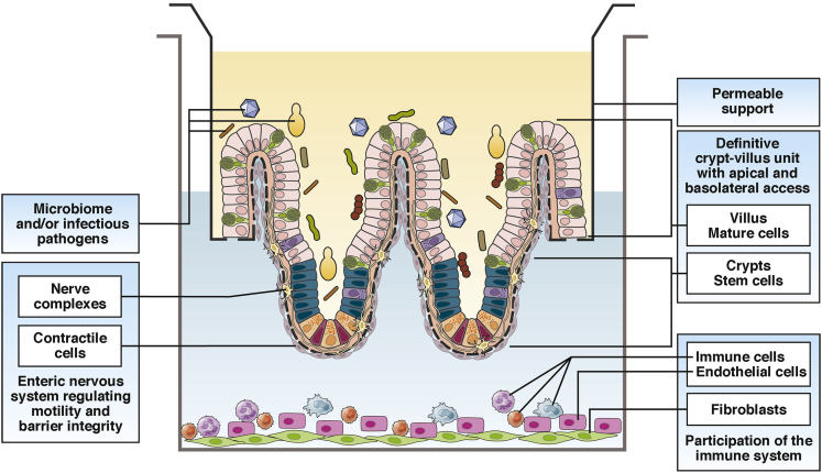 Figure 2