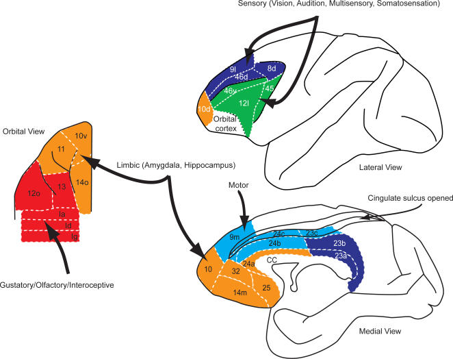 Figure 7