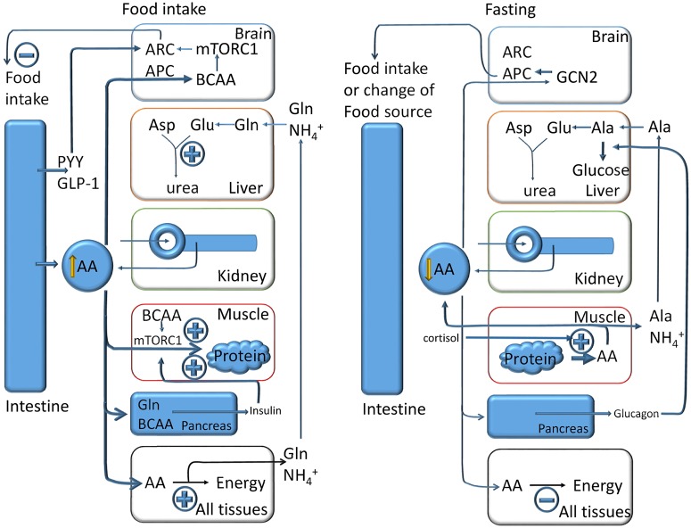 Figure 10.