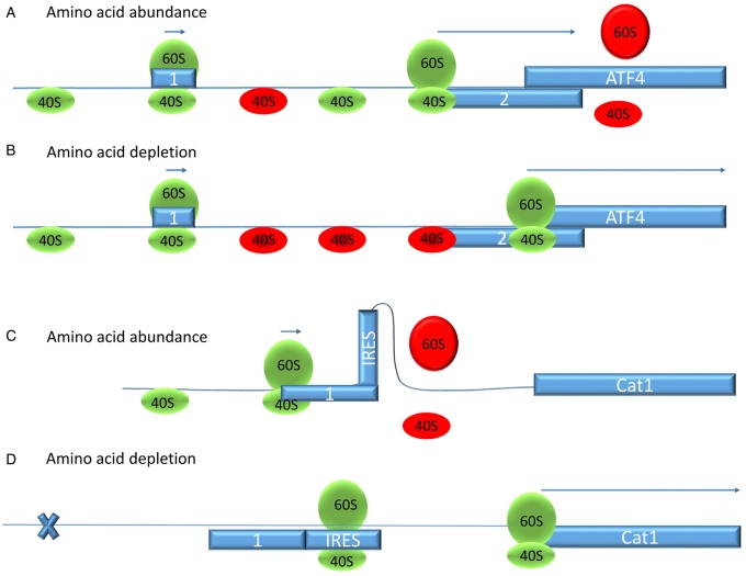 Figure 6.