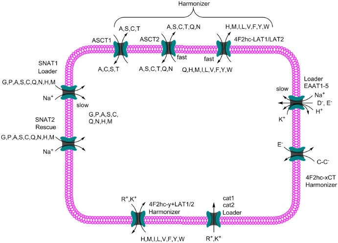 Figure 4.