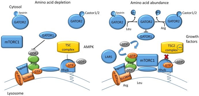 Figure 1.