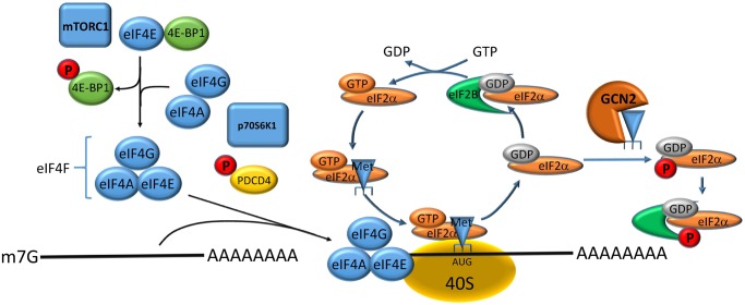 Figure 2.