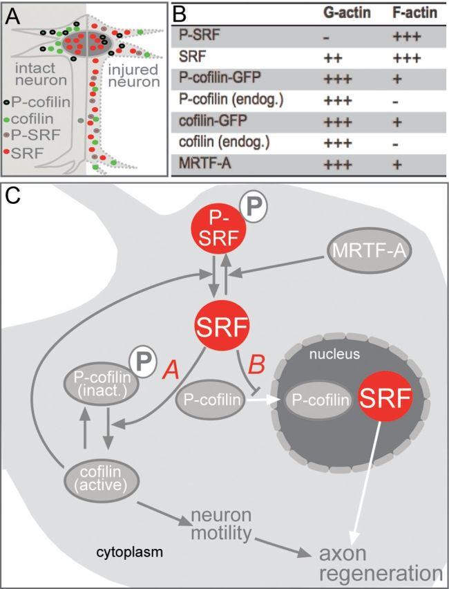 Figure 10.