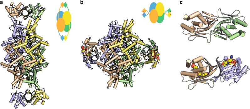 Fig. 1