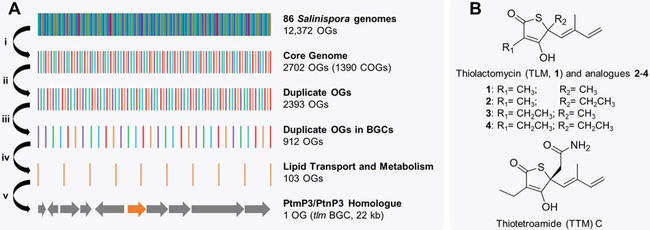 Figure 5: