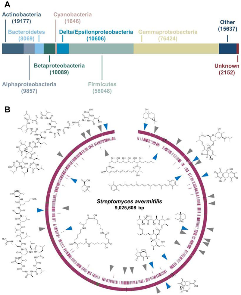 Figure 1: