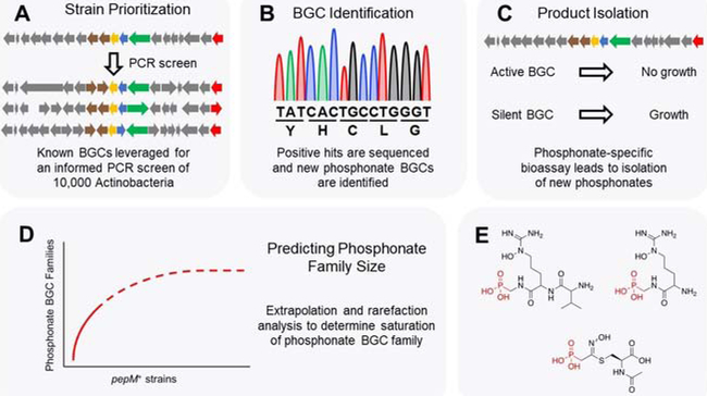 Figure 4: