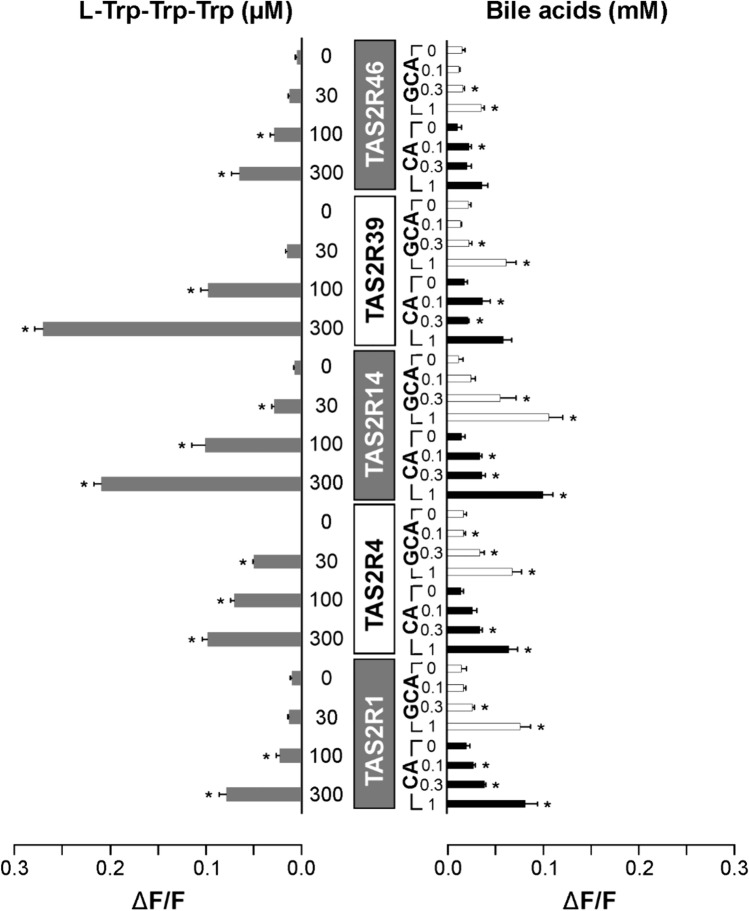 Fig. 1