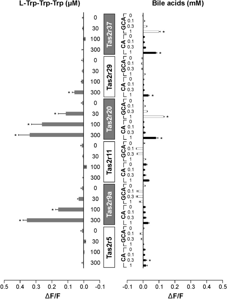 Fig. 4