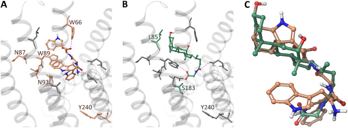 Fig. 8