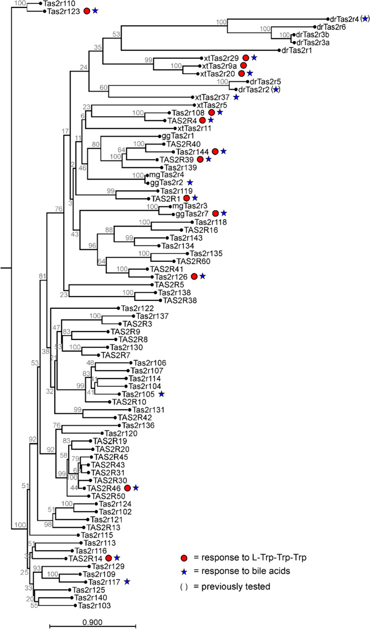 Fig. 6