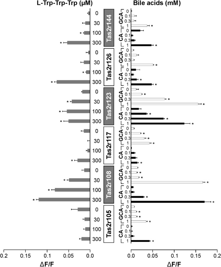 Fig. 2