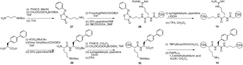 Scheme 3