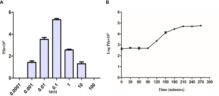 Figure 3