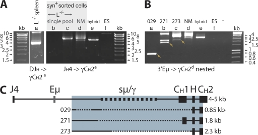 Figure 6.