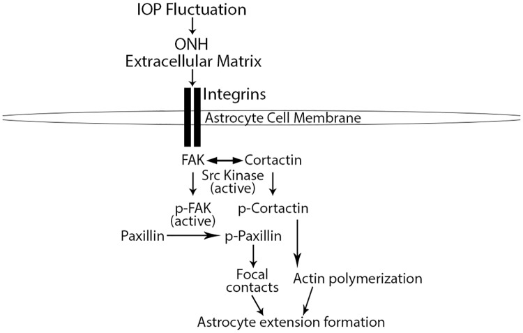 Fig 7