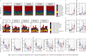 Figure 6A is a set of five stacked area graphs titled control, Glyphosate (0.5 milligrams per kilogram body weight per day), Glyphosate (50 milligrams per kilogram body weight per day), MON 52276 (0.5 milligrams per kilogram body weight per day), and MON 52276 (50 milligrams per kilogram body weight per day) plotting Abundance (percentage), 0 to 100 in increments of 25 (y-axis) for Firmicutes, Bacteriodetes, Proteoacteria, Actinobacteria, Spirochetes, Euryarchaeota, Fusobacteria, Cyanobacteria, and others. Figure 6B is a set of five stacked area graphs titled control, Glyphosate (0.5 milligrams per kilogram body weight per day), Glyphosate (50 milligrams per kilogram body weight per day), MON 52276 (0.5 milligrams per kilogram body weight per day), and MON 52276 (50 milligrams per kilogram body weight per day), plotting Abundance (percentage), 0 to 30 in increments 10 (y-axis) for Bacteroides capillosus, Ruminococcaceae bacterium D16, Eubacterium rectale, Clostridium phytofermentans, Clostridium proteoclasticum, Clostridium saccharolyticum, Prevotella ruminicola, and Ruminococcus albus, respectively. Figures 6C to 6F are error bar graphs plotting Shinella zoogleoides (percentage), ranging from 0.000 to 0.075 in increments of 0.025; Eggerthellaceae H G M 04355, ranging from 0.0 to 2.0 in increments of 0.5; Acinetobacter johnsonii (percentage), ranging from 0.002 to 0.006 in increments of 0.002; and Akkermansia muciniphila (percentage), ranging from 0.06 to 0.12 in increments of 0.02 (y-axis) across a (control), b [Glyphosate (0.5 milligrams per kilogram body weight per day)], c [Glyphosate (50 milligrams per kilogram body weight per day)], d [MON 52276 (0.5 milligrams per kilogram body weight per day)], and e [MON 52276 (50 milligrams per kilogram body weight per day)], respectively. Figure 6G is a set of eight error bar graphs plotting metC cyc-S-conjugate lyase (counts per million), ranging from 30 to 90 in increments of 30; K00870 protein kinase (counts per million), ranging from 0 to 150 in increments of 50; acetoacetyl-CoA reduction (counts per million), ranging from 0 to 60 in increments of 20; rihA ribonucleoside hydrolase (counts per million), ranging from 0 to 60 in increments of 20, pseC transaminase (counts per million), ranging from 0 to 125 in increments of 25; M G L L acylglycerol lipase (counts per million), ranging from 50 to 150 in increments of 50; rifL oxidoreductase (counts per million), 0 to 120 in increments of 30; and buk; butyrate kinase (counts per million), ranging from 40 to 160 in increments of 40 (y-axis) across a (control), b [Glyphosate (0.5 milligrams per kilogram body weight per day)], c [Glyphosate (50 milligrams per kilogram body weight per day)], d [MON 52276 (0.5 milligrams per kilogram body weight per day)], and e [MON 52276 (50 milligrams per kilogram body weight per day)], respectively.