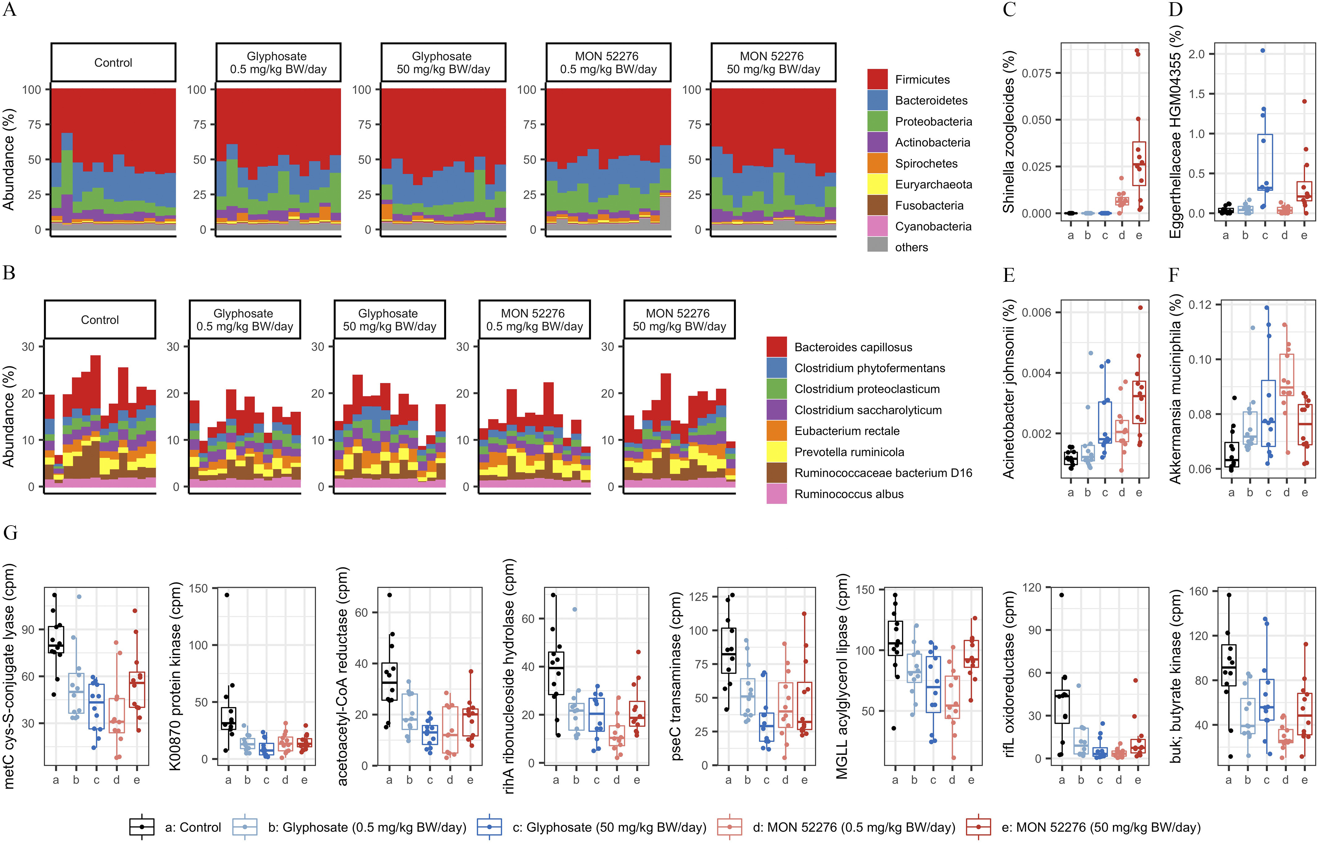 Figure 6A is a set of five stacked area graphs titled control, Glyphosate (0.5 milligrams per kilogram body weight per day), Glyphosate (50 milligrams per kilogram body weight per day), MON 52276 (0.5 milligrams per kilogram body weight per day), and MON 52276 (50 milligrams per kilogram body weight per day) plotting Abundance (percentage), 0 to 100 in increments of 25 (y-axis) for Firmicutes, Bacteriodetes, Proteoacteria, Actinobacteria, Spirochetes, Euryarchaeota, Fusobacteria, Cyanobacteria, and others. Figure 6B is a set of five stacked area graphs titled control, Glyphosate (0.5 milligrams per kilogram body weight per day), Glyphosate (50 milligrams per kilogram body weight per day), MON 52276 (0.5 milligrams per kilogram body weight per day), and MON 52276 (50 milligrams per kilogram body weight per day), plotting Abundance (percentage), 0 to 30 in increments 10 (y-axis) for Bacteroides capillosus, Ruminococcaceae bacterium D16, Eubacterium rectale, Clostridium phytofermentans, Clostridium proteoclasticum, Clostridium saccharolyticum, Prevotella ruminicola, and Ruminococcus albus, respectively. Figures 6C to 6F are error bar graphs plotting Shinella zoogleoides (percentage), ranging from 0.000 to 0.075 in increments of 0.025; Eggerthellaceae H G M 04355, ranging from 0.0 to 2.0 in increments of 0.5; Acinetobacter johnsonii (percentage), ranging from 0.002 to 0.006 in increments of 0.002; and Akkermansia muciniphila (percentage), ranging from 0.06 to 0.12 in increments of 0.02 (y-axis) across a (control), b [Glyphosate (0.5 milligrams per kilogram body weight per day)], c [Glyphosate (50 milligrams per kilogram body weight per day)], d [MON 52276 (0.5 milligrams per kilogram body weight per day)], and e [MON 52276 (50 milligrams per kilogram body weight per day)], respectively. Figure 6G is a set of eight error bar graphs plotting metC cyc-S-conjugate lyase (counts per million), ranging from 30 to 90 in increments of 30; K00870 protein kinase (counts per million), ranging from 0 to 150 in increments of 50; acetoacetyl-CoA reduction (counts per million), ranging from 0 to 60 in increments of 20; rihA ribonucleoside hydrolase (counts per million), ranging from 0 to 60 in increments of 20, pseC transaminase (counts per million), ranging from 0 to 125 in increments of 25; M G L L acylglycerol lipase (counts per million), ranging from 50 to 150 in increments of 50; rifL oxidoreductase (counts per million), 0 to 120 in increments of 30; and buk; butyrate kinase (counts per million), ranging from 40 to 160 in increments of 40 (y-axis) across a (control), b [Glyphosate (0.5 milligrams per kilogram body weight per day)], c [Glyphosate (50 milligrams per kilogram body weight per day)], d [MON 52276 (0.5 milligrams per kilogram body weight per day)], and e [MON 52276 (50 milligrams per kilogram body weight per day)], respectively.