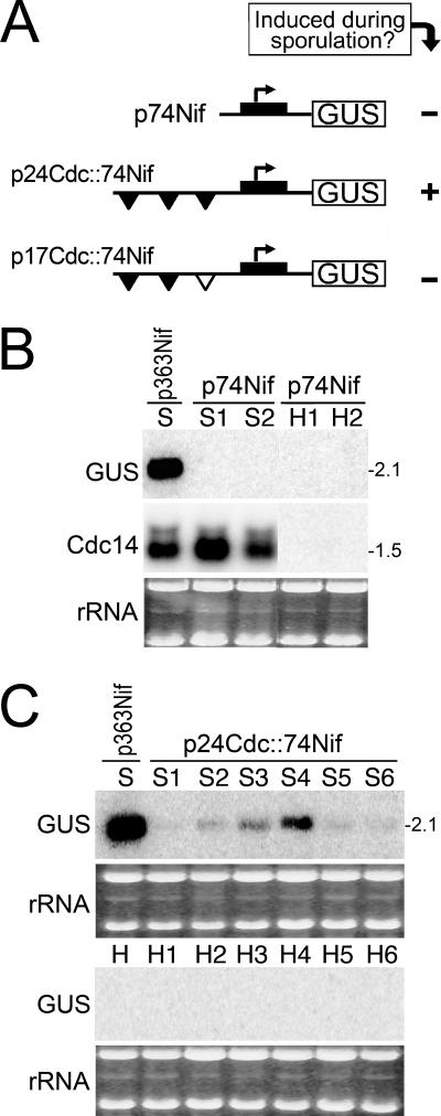 FIG. 5.