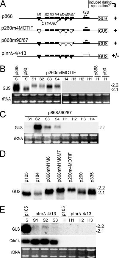 FIG. 7.