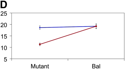 Figure 3.—