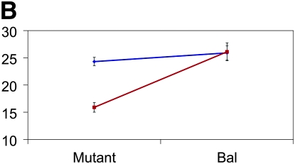 Figure 3.—