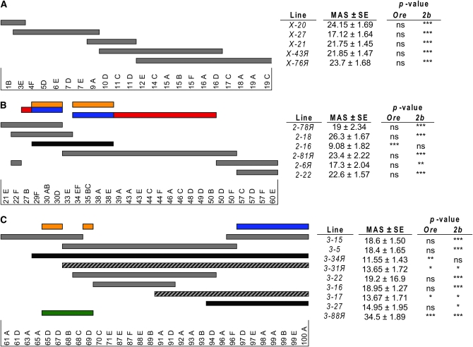 Figure 1.—