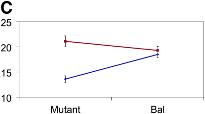 Figure 3.—