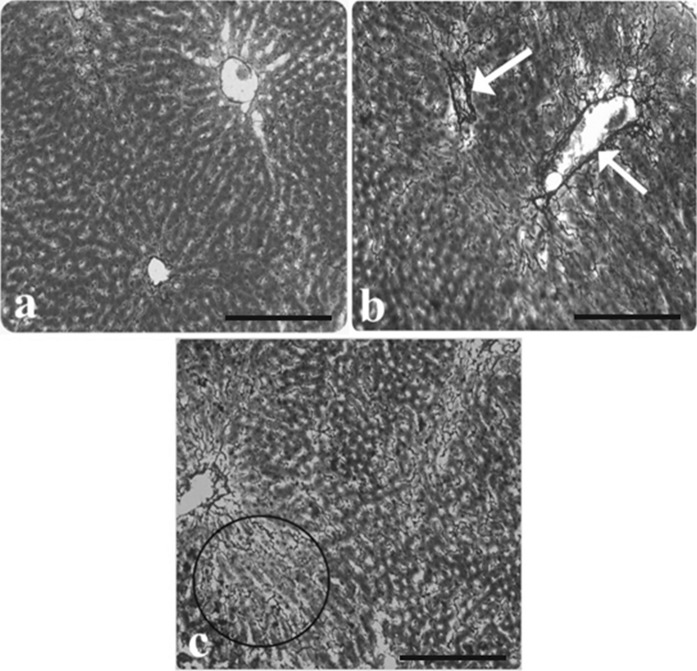 Fig. 4