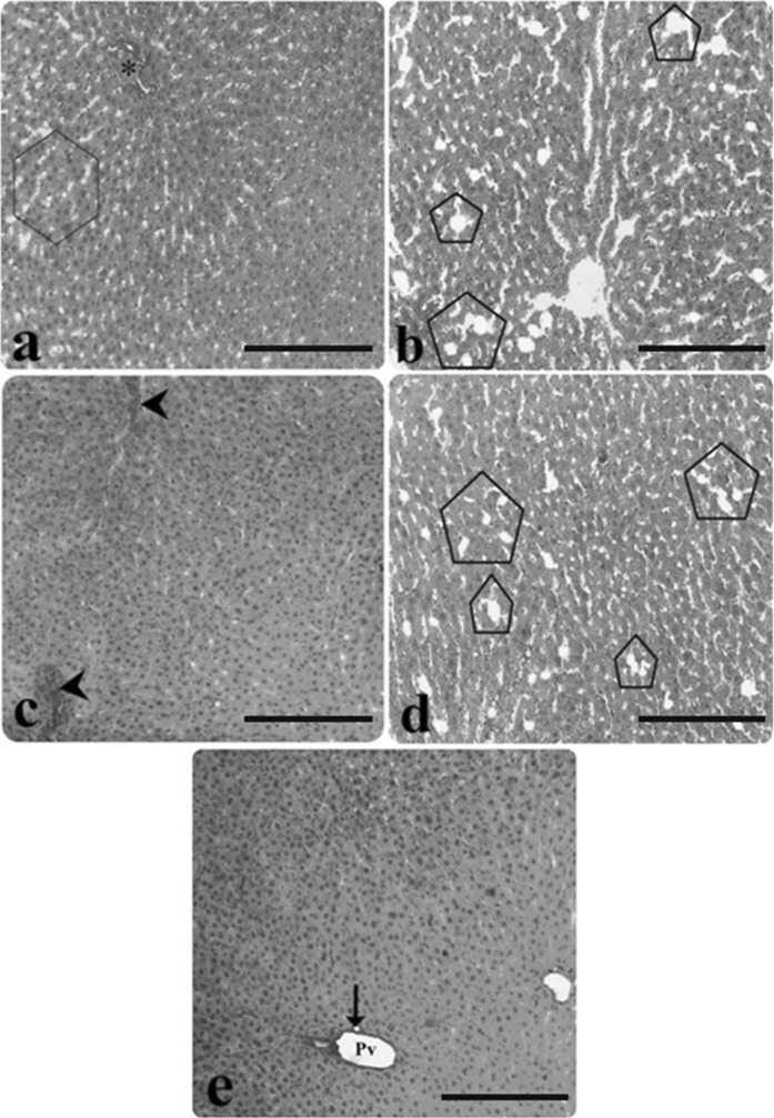 Fig. 6