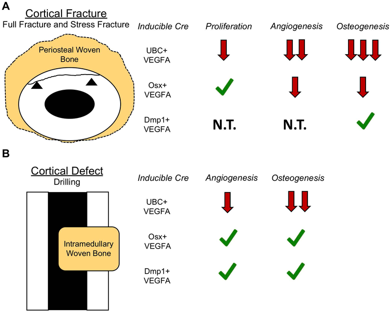 Figure 9.