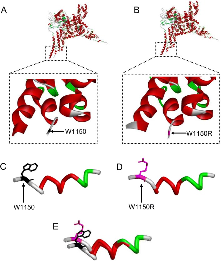 Fig. 2