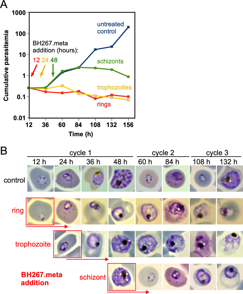 FIG 3