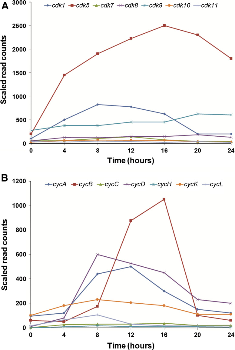 Fig. 2