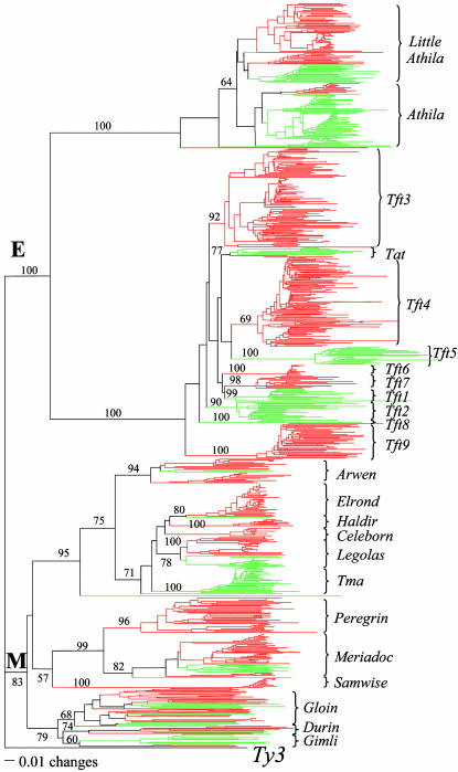 Fig. 5.