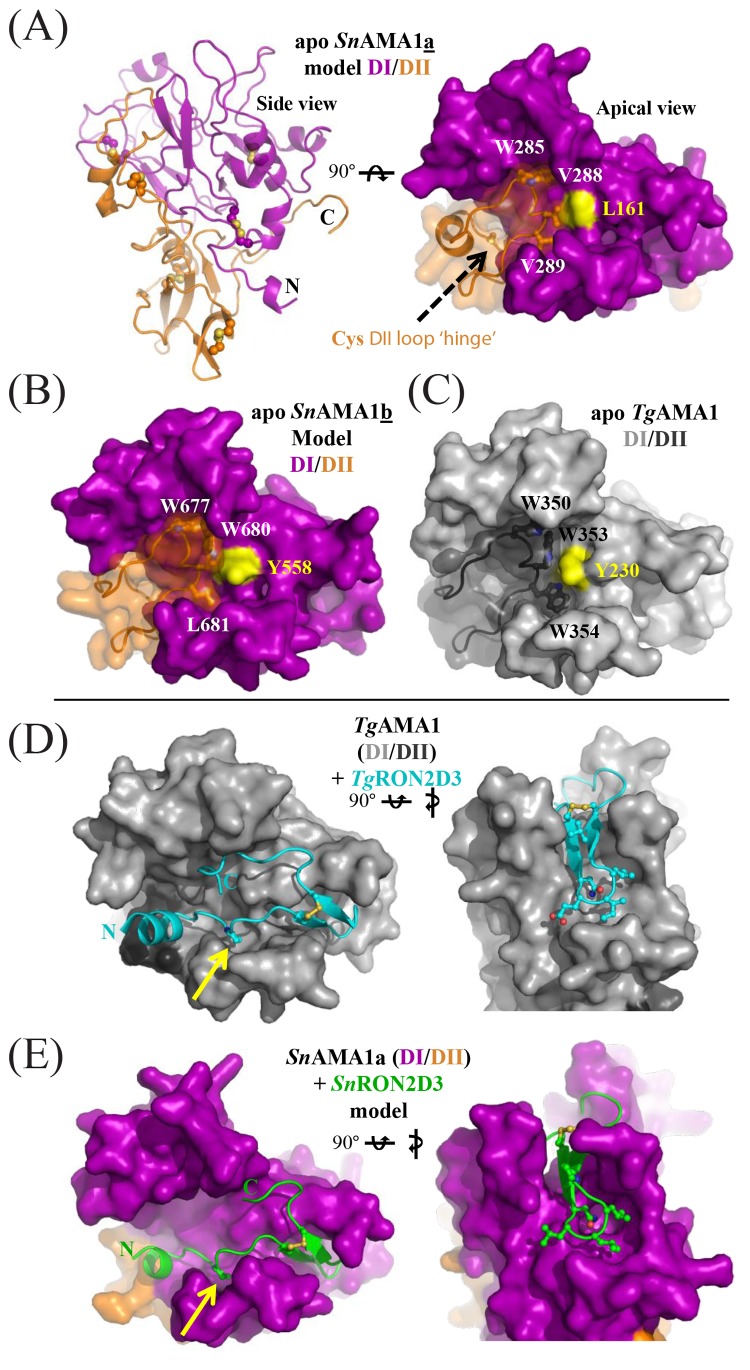 FIG 4 